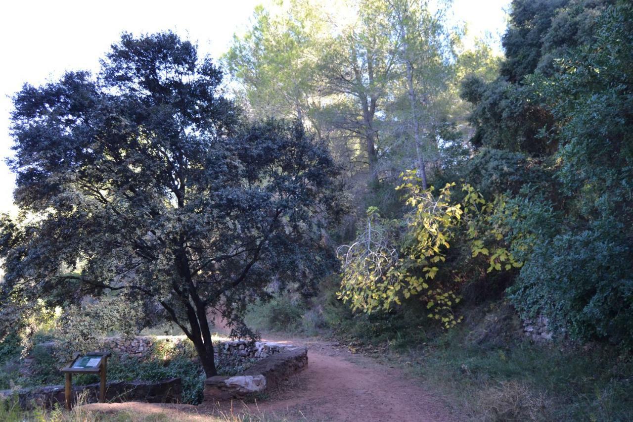 Апартаменты La Coveta Rural Вильяфамес Экстерьер фото